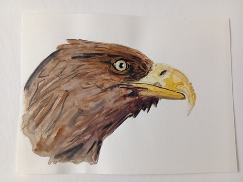 Royal eagle original - eagle,