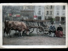 AURILLAC (15) CATTLE HITCH at the Market in 1905