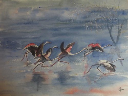 Aquarelle originale signée