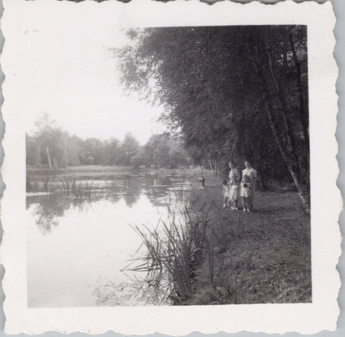 France etang l abbaye - france,, de
