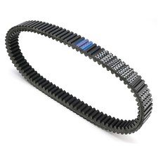 Courroie de commande pour