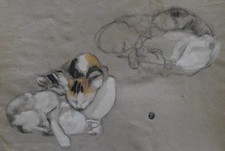 Hélène Rivière (1896-1977) (24) - gouache and charcoal - kittens