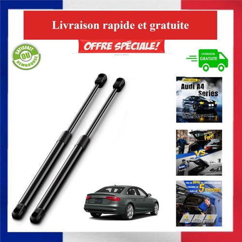 Arana vérins hayon - de,