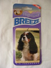 Désodorisant voiture à