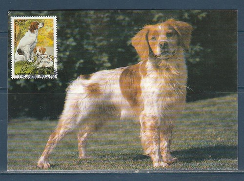 Carte 1er jour nature - 1er,