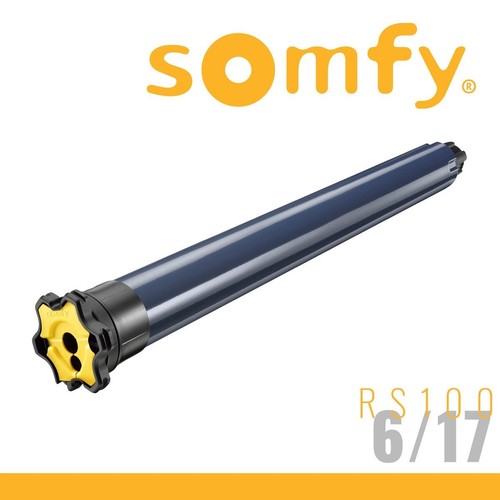 Somfy moteur rs100 io - moteur,
