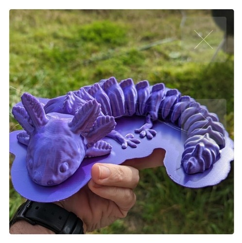 Axolotl articulé 3d - axolotl,