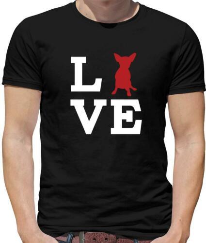 Amour chien chihuahua - amour,