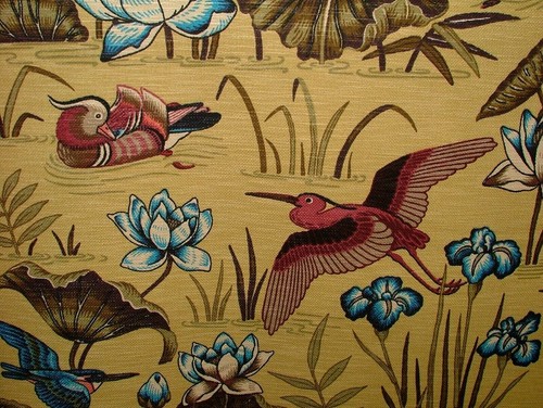 Japonais eau lily oiseaux - eau, &