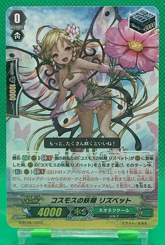 Cosmos fairy lisbet vanguard - fairy,