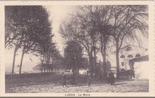 LUCCA - The Walls, Postcard 4