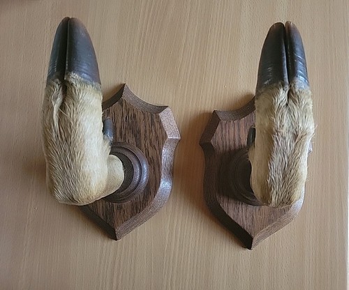 Porte fusil pieds - de, biches