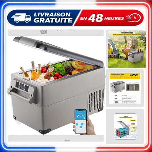 Glacière électrique portable