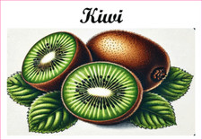 Kiwi  12 sticker vinyle