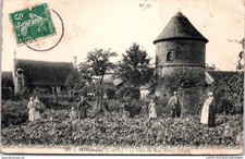 41 MILLANCAY - la tour du bois fleuri