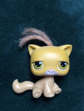 ?petshop chat Siamese 78?