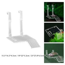 Tortue Basking Plate-forme