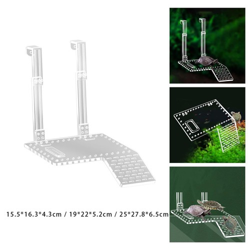 Tortue basking plate - tortue, plate-forme