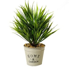 Pots en étain fleurs