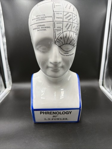 Phrenology ceramic bust - 12”,