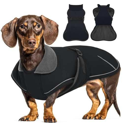 Manteau chien manteaux - manteau, chien,