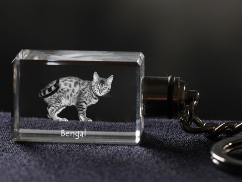 Bengal porte clés chat - porte-clés,