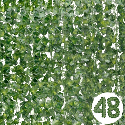 Lierre guirlande plantes - lierre,