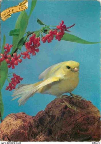 Carte postale animaux - carte,
