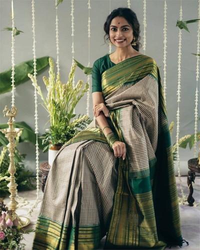 Nouveau sari indien