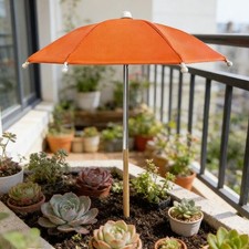 Parasol de Jardin, Toit