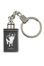 Papillon, Epagneul Nain