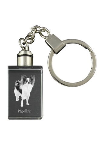 Papillon epagneul nain - papillon,,