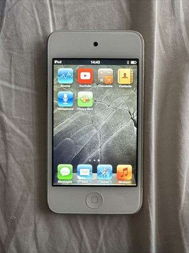 Ipod touch flappy bird - ipod,