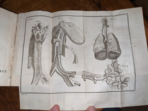 Livre ancien l anatomie - livre,