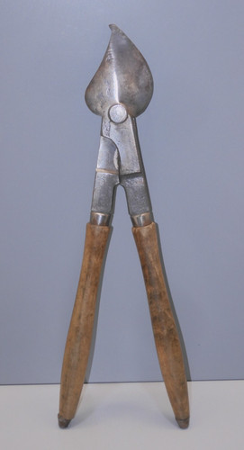 Ancien coupe branche avec une - branche,