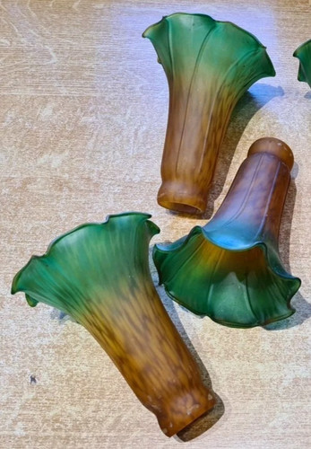 Tulipe choix parmi - choix,