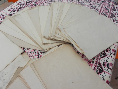 Papier issu herbiers - issu, d'herbiers