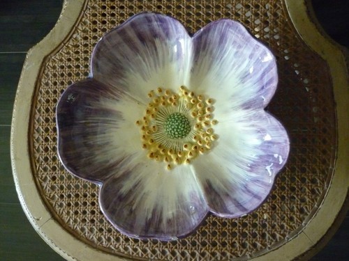 Massier jolie anemone - massier, sur