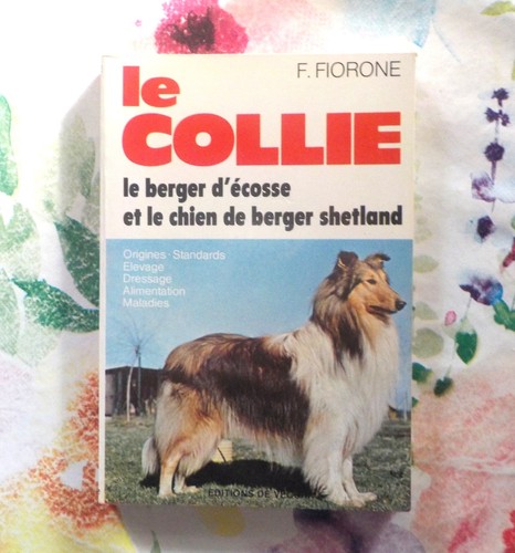 Collie berger d ecosse - le,