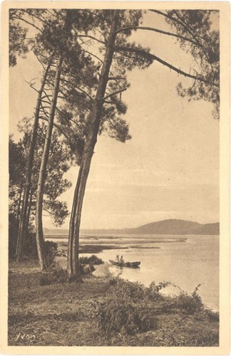 Cpa les landes de - cpa,