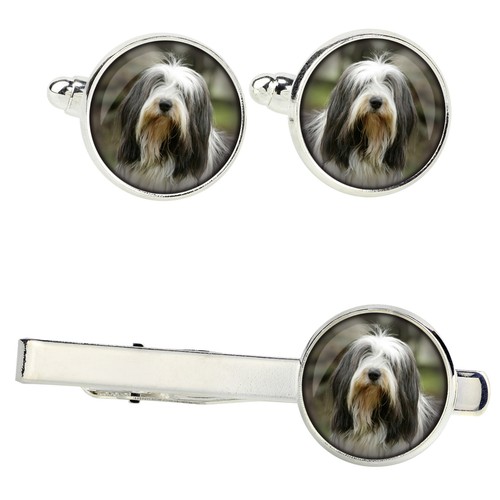 Ensemble bearded collie - ensemble,