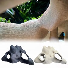 Cachette d'angle fausse racine de mangrove aquarium terrarium aspect naturel pou