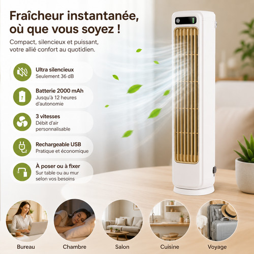Ventilateur climatiseur