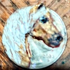 Palomino" Quarter Horse" A
