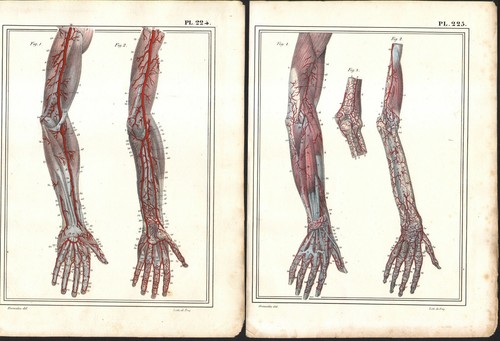 1825 deux gravures originales - deux,