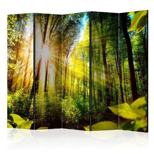 Paravent volets forest - 5, "forest