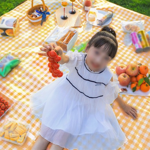 Tapis picnic imperméable - tapis,