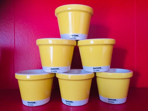 Pantone 0754 set - 14-0754, petits