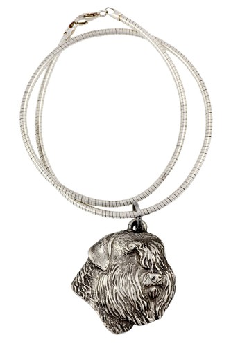 Collier pour enfants bouvier - enfants,