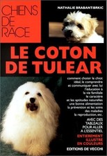 Le Coton de Tulear -